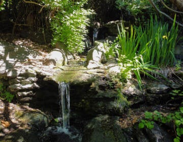 A mini water spout in East Fairmount Park