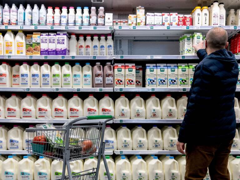 A shopper walks through the dairy aisle of a grocery store