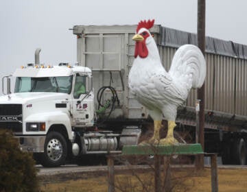 A truck drives out the entrance of the Cold Springs Eggs Farm where the presence of avian influenza was reported to be discovered, forcing the commercial egg producer to destroy nearly 3 million chickens on March 24, 2022 near Palmyra, Wisconsin. (Photo by Scott Olson/Getty Images)
