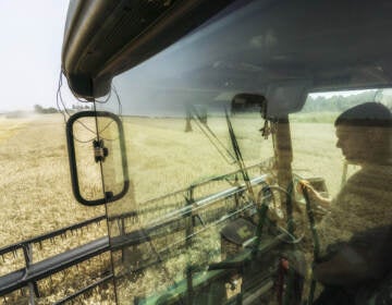 A driver sits in the cab of a combine harvester during the summer harvest in a field of wheat in Varva, Ukraine. Ukraine accounts for more than 10% of the global wheat market. Russia's war threatens to disrupt the spring planting season. (Vincent Mundy/Bloomberg via Getty Images)