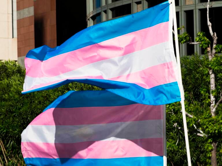 Trans pride flags flutter in the wind at a gathering to celebrate International Transgender Day of Visibility
