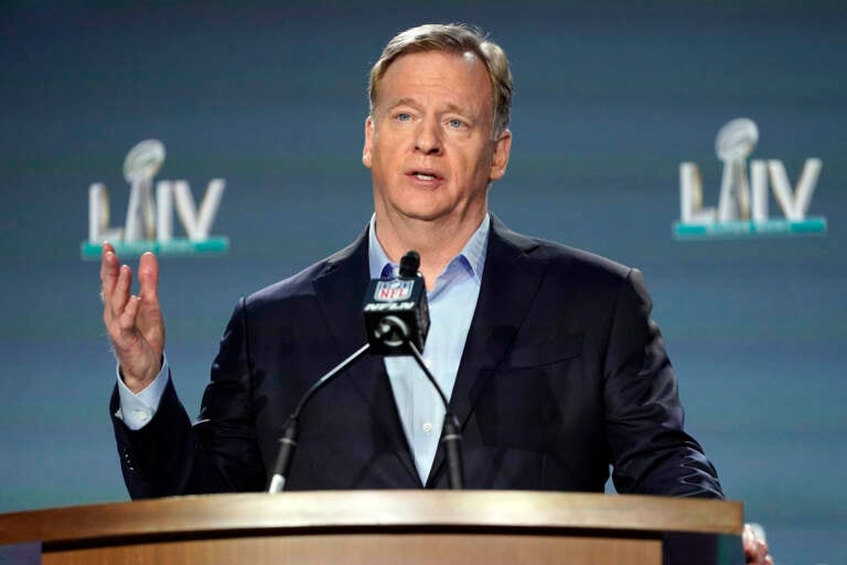 NFL Commissioner Roger Goodell. (David J. Phillip/AP)