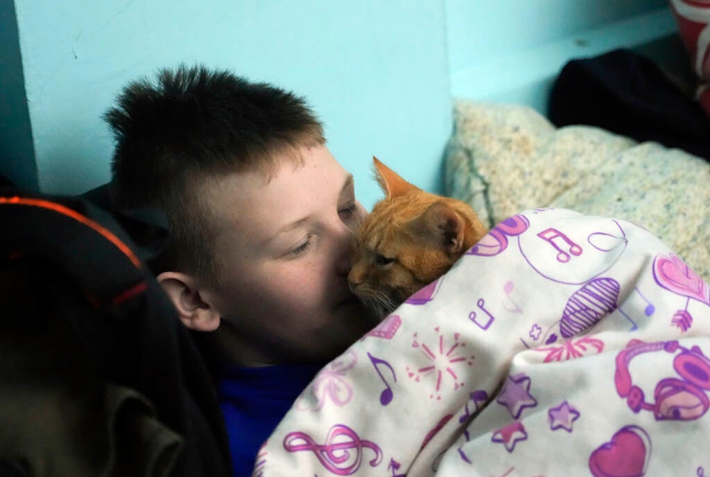 A boy and his cat hide from the Russian artillery shelling in a school basement