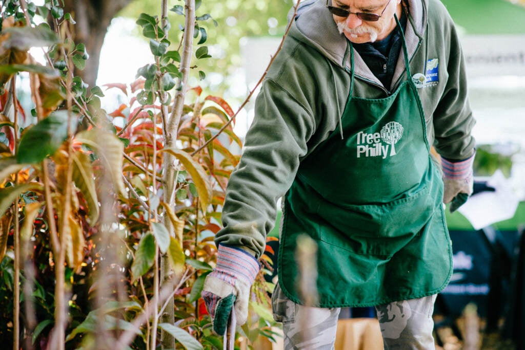 A man wearing a TreePhilly apron is seen among free trees at an event