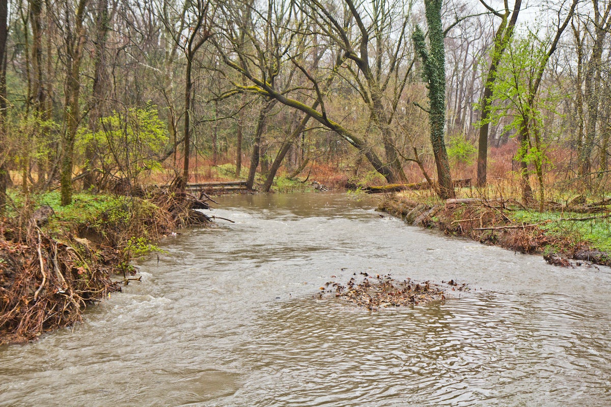 Cheltenham residents fear proposed housing would increase flooding - WHYY