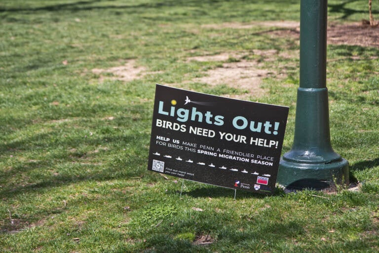 A sign reads Lights Out! on a green lawn.