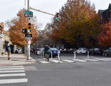 A parking-separated bike lane on Chestnut Street (Courtesy of OTIS)