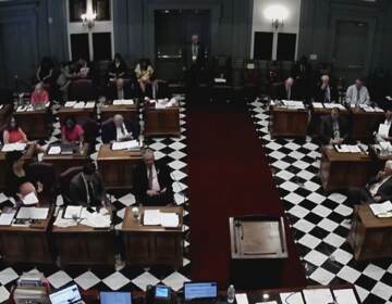 The Delaware Senate passed the $300 tax rebate bill unanimously on Thursday. (State of Delaware)