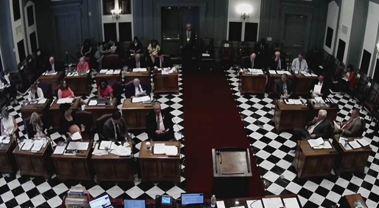 The Delaware Senate passed the $300 tax rebate bill unanimously on Thursday. (State of Delaware)