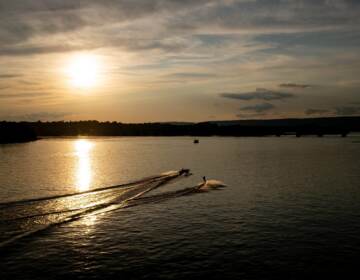 The Susquehanna River in Harrisburg as seen on Aug. 19, 2019. The river is the largest tributary to the Chesapeake Bay. (Ian Sterling for WITF)