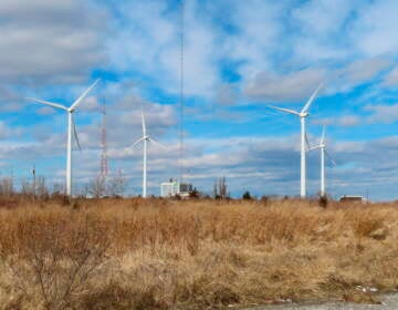 For one day in March, wind generated electricity surpassed coal and nuclear, and became second only to natural gas. (Wayne Parry/AP)