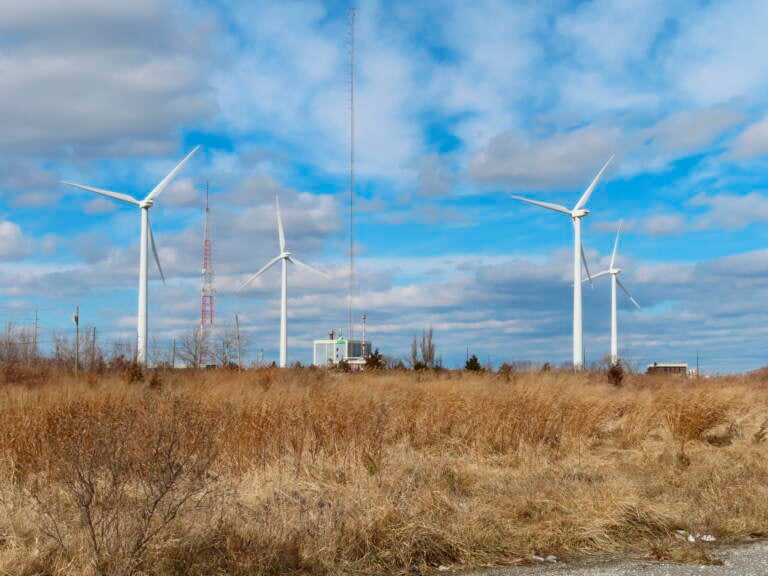 For one day in March, wind generated electricity surpassed coal and nuclear, and became second only to natural gas. (Wayne Parry/AP)
