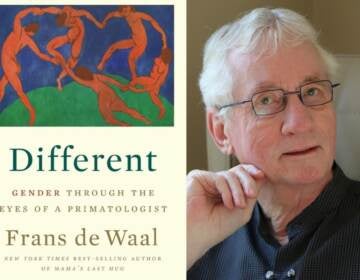 Different: Gender Through the Eyes of a Primatologist is published by W.W. Norton and Company. Photo by Catherine Marin.