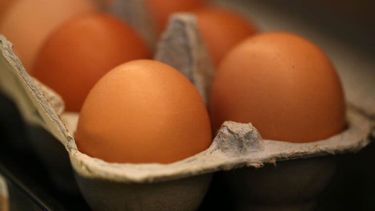 Cartons of eggs are displayed on a shelf