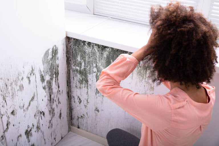 How to inspect your home for mold, room by room - The Washington Post, Mold  