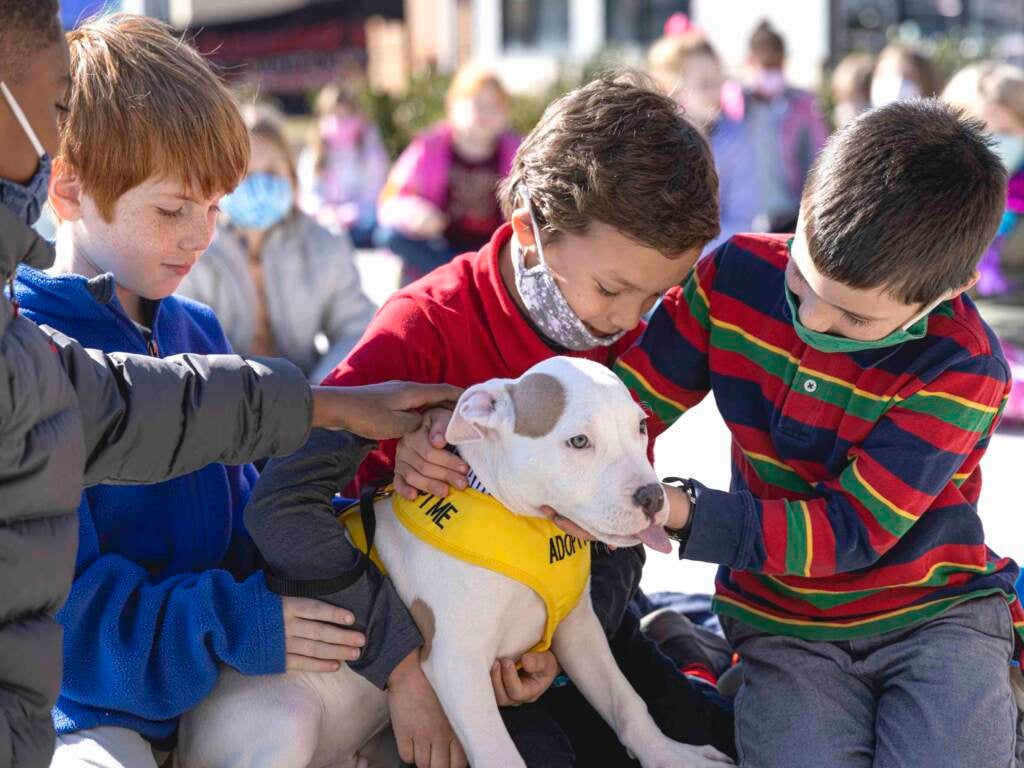 Students meet Snow the dog.