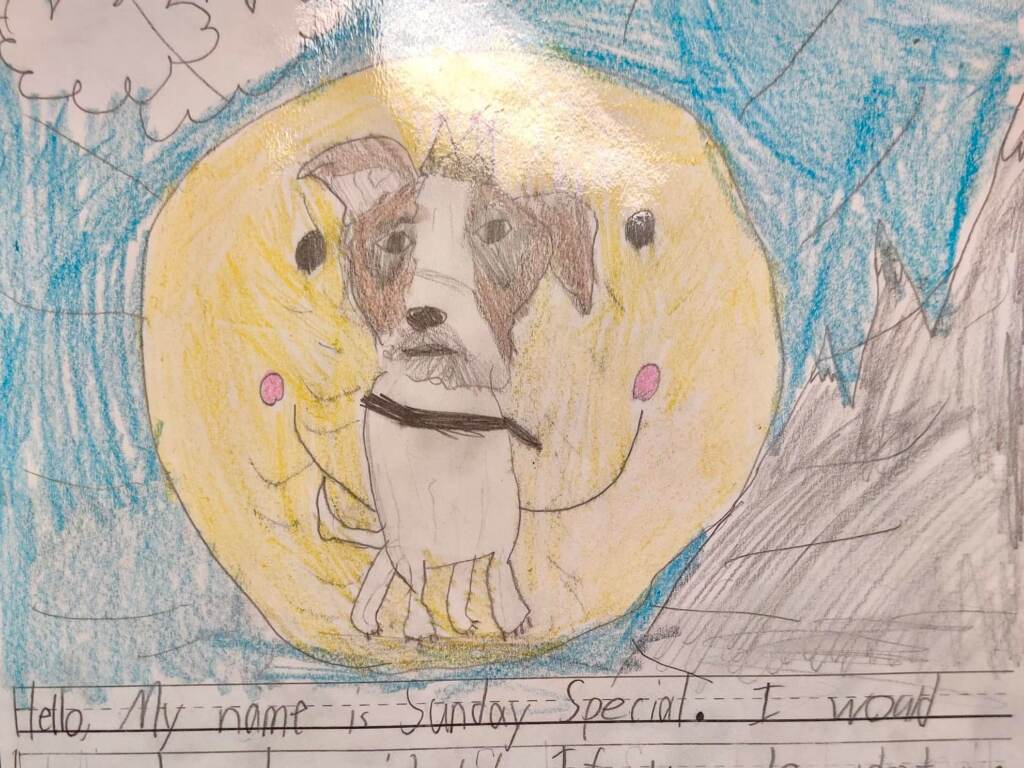 A student's drawing of Sunday Special the dog