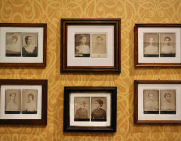 Framed photographs are hung on a wall with yellow wallpaper.