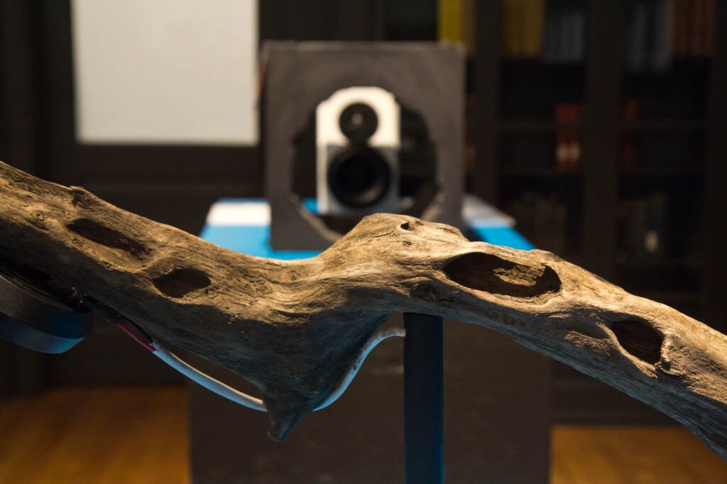 A wooden branch is seen up close, with other elements of the exhibition visible behind it.