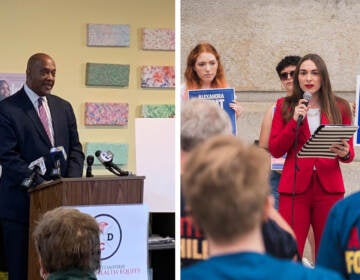 U.S. Rep. Dwight Evans; challenger Alexandra Hunt.