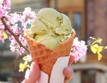 An up-close shot of an ice cream cone with green ice cream, and pink flowers in the background.