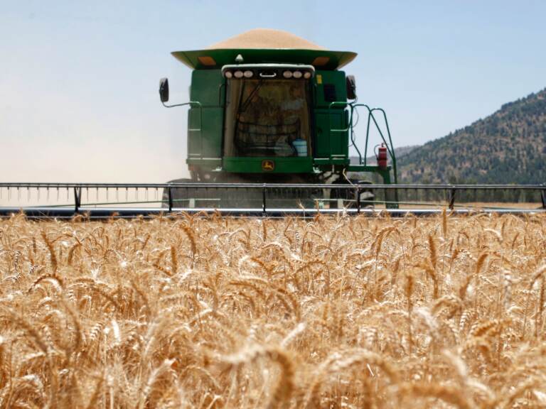 A Combine harvesting machine reaps wheat in a field of the Hula valley near the town of Kiryat Shmona in the north of Israel on May 22, 2022. Wheat prices have soared in recent months, driven by the war in Ukraine and a crippling heat wave in India. (Jalaa Marey/AFP via Getty Images)