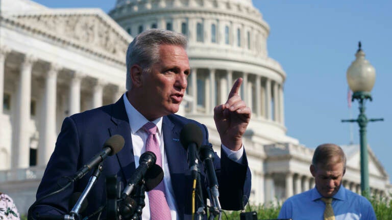 House Minority Leader Kevin McCarthy gestures from a podium