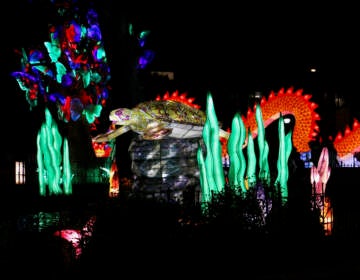 A sea turtle lantern sits in the midst of an underwater environment created from Chinese lanterns.