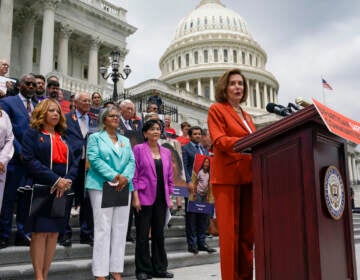 House Speaker Nancy Pelosi of Calif., and other lawmakers, speaks about the gun violence bill at the Capitol in Washington, Friday, June 24, 2022. (AP Photo/J. Scott Applewhite)