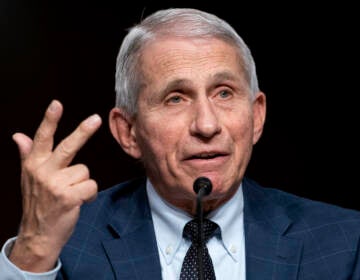 Dr. Anthony Fauci testifies before a Senate Health, Education, Labor, and Pensions Committee hearing on Jan. 11, 2022 on Capitol Hill. (Greg Nash/AP)