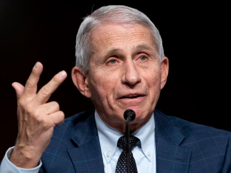 Dr. Anthony Fauci testifies before a Senate Health, Education, Labor, and Pensions Committee hearing on Jan. 11, 2022 on Capitol Hill. (Greg Nash/AP)