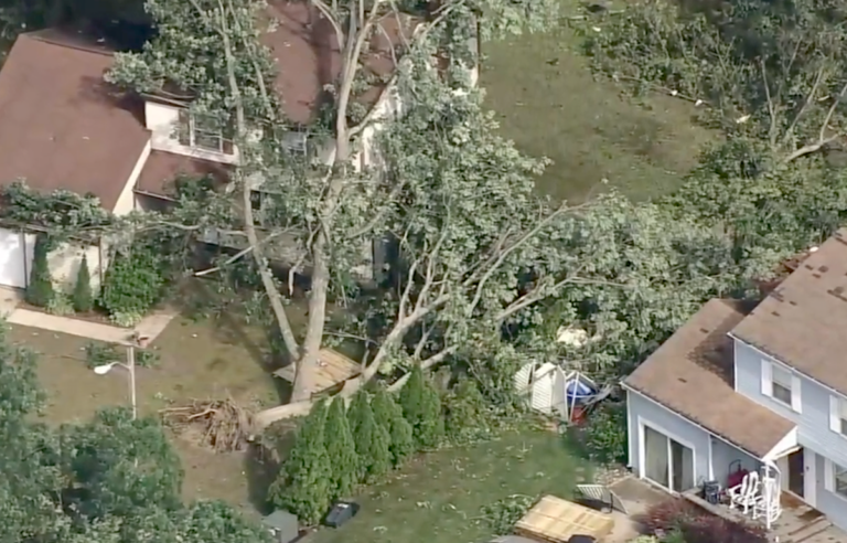 Strong storms toppled trees in Gloucester Twp. (6abc)