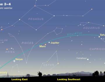 An illustration of the view at dawn on June 3 and 4. (Sky & Telescope illustration)