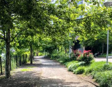 Some of the northern parts of the path — paved the whole way — have gravel-lined spurs that run right along the river. (Asha Prihar/Billy Penn)