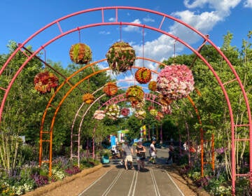 An arching trellis with flowers is shown over a walkway with trees and a blue sky in the background.