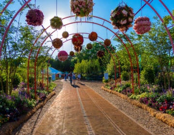 A walkway is visible with flowers hanging from an arbor overhead.