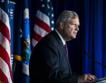 Agriculture Secretary Tom Vilsack speaks at Georgetown University in Washington, D.C., on Wednesday. (Bloomberg via Getty Images)