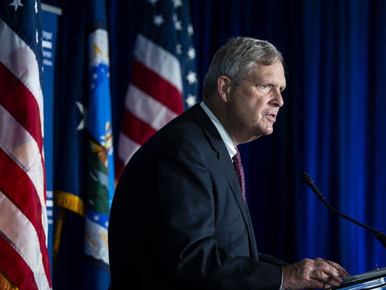 Agriculture Secretary Tom Vilsack speaks at Georgetown University in Washington, D.C., on Wednesday. (Bloomberg via Getty Images)