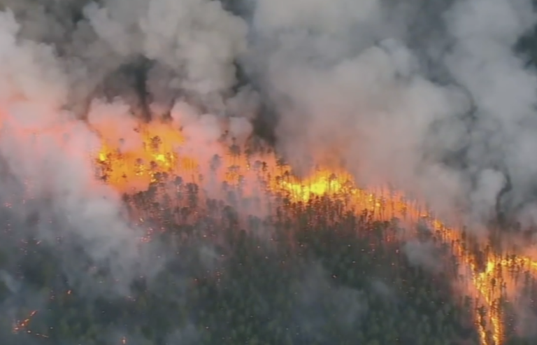 The New Jersey Forest Fire Service is continuing its efforts to contain a wildfire in the Wharton State Forest in Burlington County, which continues to grow in size. (6abc)