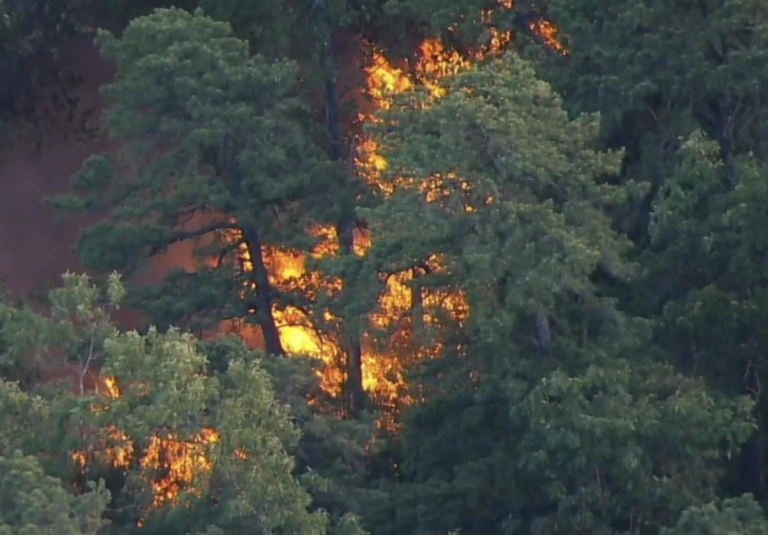 Ruling out natural causes, officials are investigating an illegal campfire in a remote area of Wharton State Forest as the potential spark. (6abc)
