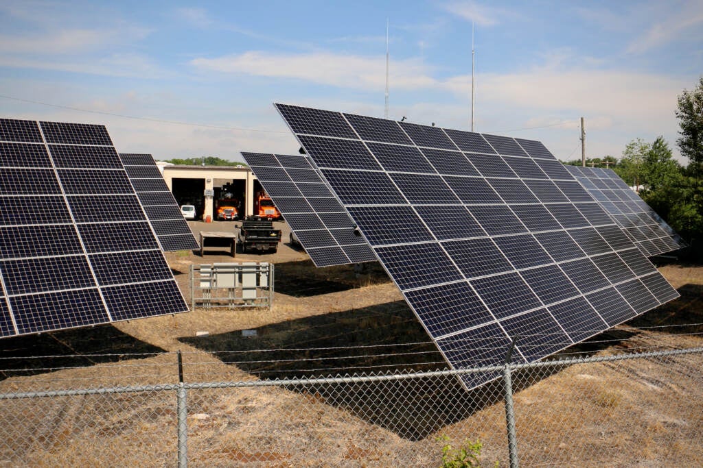 Solar panels are arranged in rows, facing upwards.