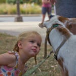 Three-year-old Eloise Nacey is transfixed by Ivy, one of Philly Goat Project’s stars, at Shakespeare Park in Philadelphia on July 27, 2022. (Kimberly Paynter/WHYY)