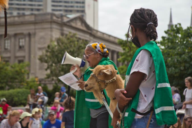 Anthony is the center of attention and the goat that wins the Gritty troll’s heart during Philly Goat Project’s community performance at Shakespeare Park in Philadelphia on July 27, 2022. (Kimberly Paynter/WHYY)