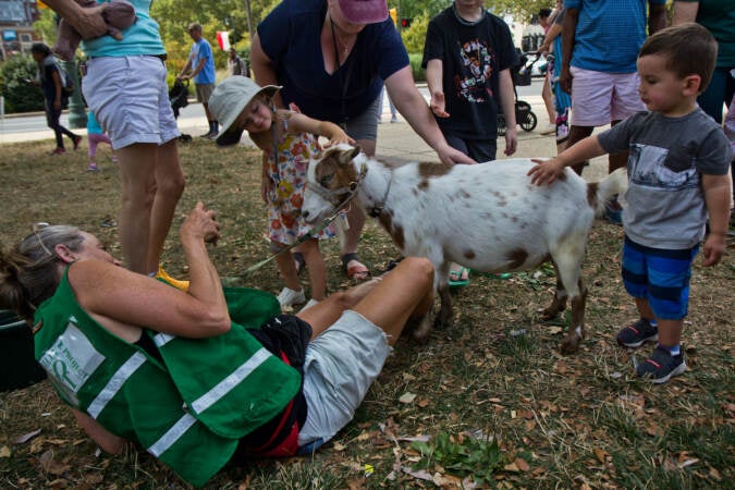 File photo: Philly Goat Project introduced young children to their goats at Shakespeare Park in Philadelphia on July 27, 2022. (Kimberly Paynter/WHYY)