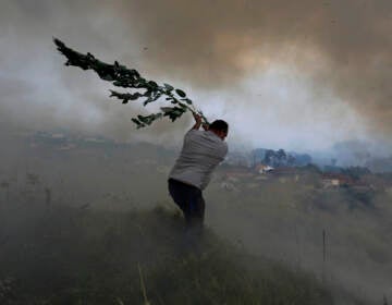 A volunteer uses a tree branch trying to prevent a forest fire from reaching houses in the village of Casal da Quinta, outside Leiria, central Portugal, Tuesday, July 12, 2022. (AP Photo/Joao Henriques)