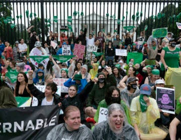 Abortion-rights demonstrators shout slogans after tying green flags to the fence of the White House during a protest to pressure the Biden administration to act and protect abortion rights, in Washington, Saturday, July 9, 2022. (AP Photo/Jose Luis Magana)