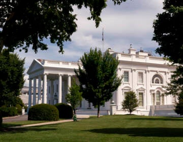 The White House is seen from afar, surrounded by trees.