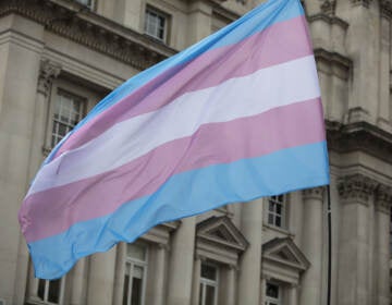 A close-up of a transgender rights flag.