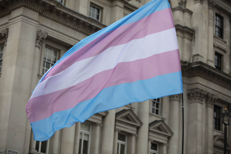 A close-up of a transgender rights flag.