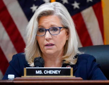 Rep. Liz Cheney speaks, her nameplate visible in front of her, with an American flag visible in the background.